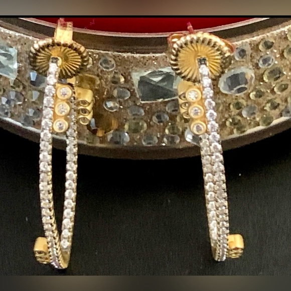 Freida Rothman Authentic Pavé Disc Oval Hoop Earrings - Picture 10 of 10